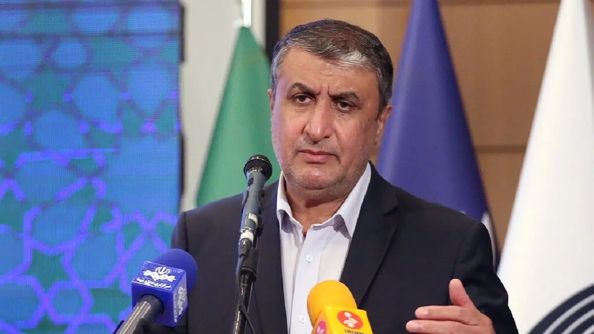 (ویدئو) وزیر راه: اتوبوس حامل خبرنگاران نقص فنی نداشت