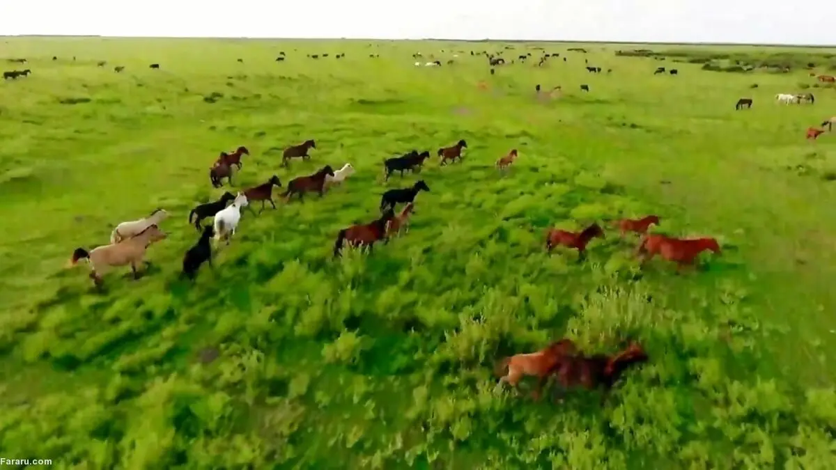 تصاویری تماشایی از پارک ملی بوجاق