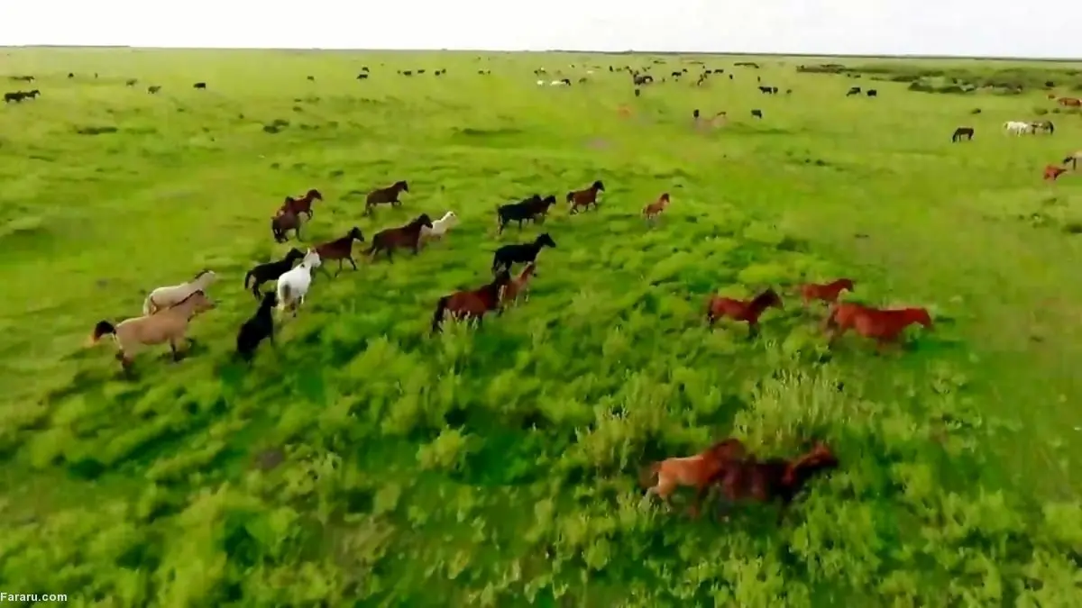 تصاویری تماشایی از پارک ملی بوجاق