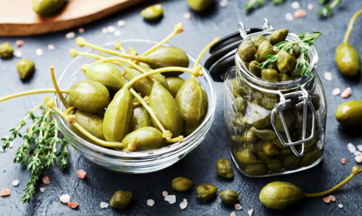 با گیاه کبر، کاپاریس یا لَگجی و خواص آن آشنا شوید