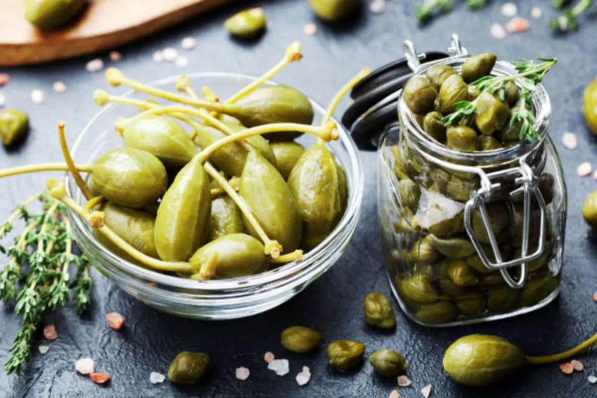 با گیاه کبر، کاپاریس یا لَگجی و خواص آن آشنا شوید