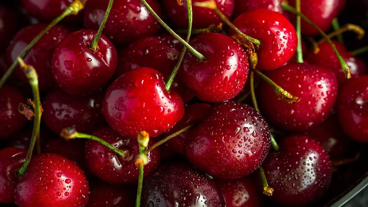 اگر هر روز یک مشت گیلاس بخورید، چه اتفاقی در بدن شما می‌افتد؟