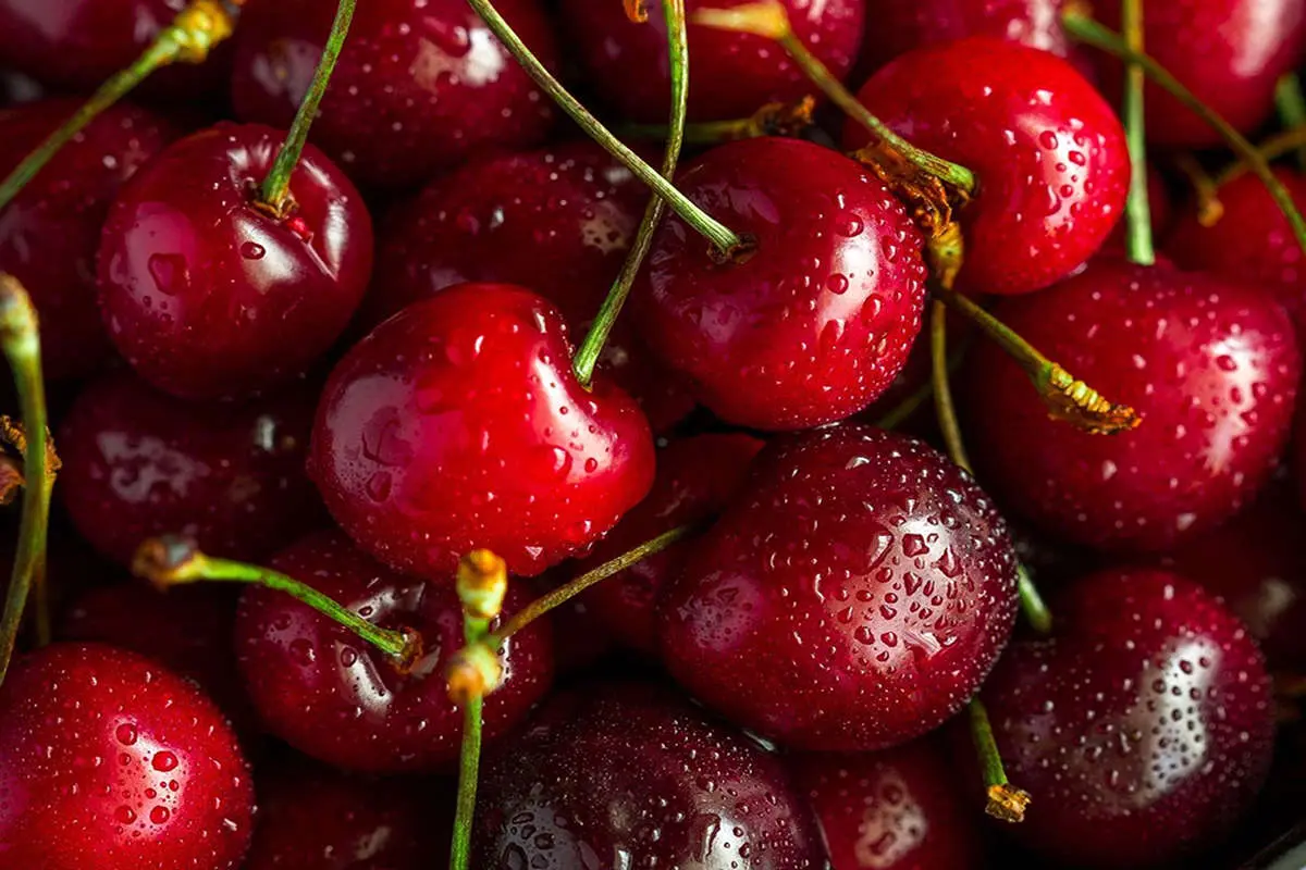 اگر هر روز یک مشت گیلاس بخورید، چه اتفاقی در بدن شما میافتد؟