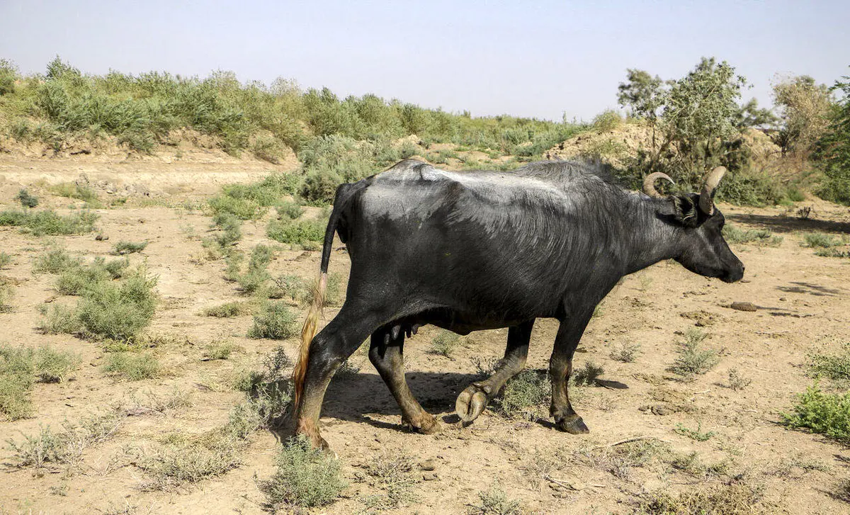(ویدئو) روستای آخرالزمانی «کِسر» در خوزستان
