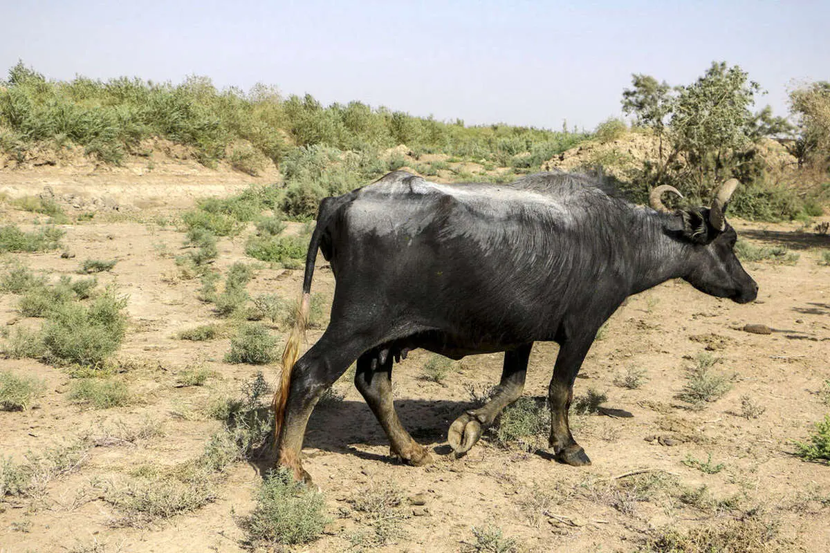 (ویدئو) روستای آخرالزمانی «کِسر» در خوزستان
