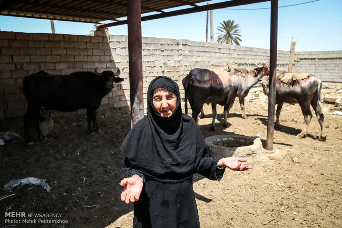 مطالبه «مظاهرات سِلمی» چیست؟