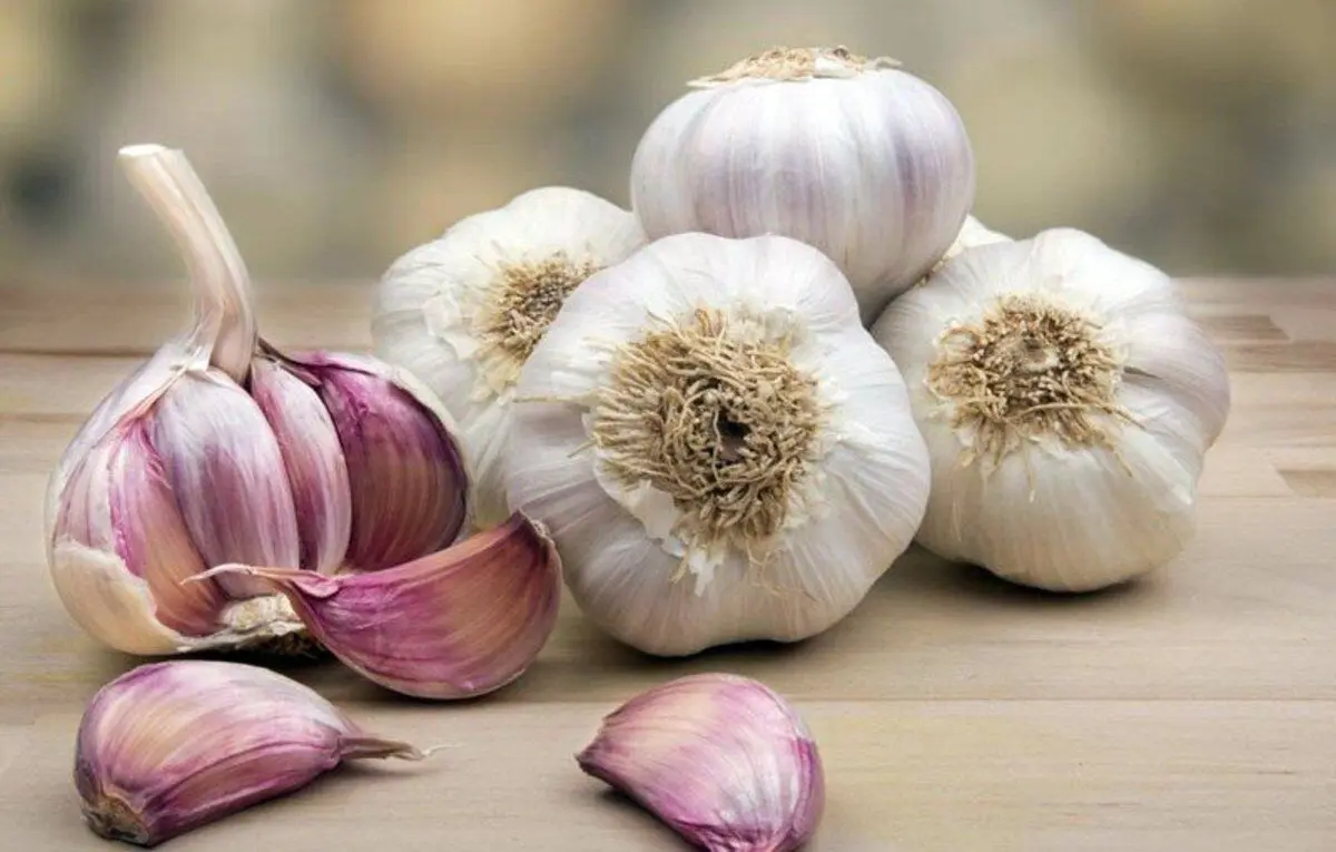 فواید پرشمار مصرف سیر برای مردان