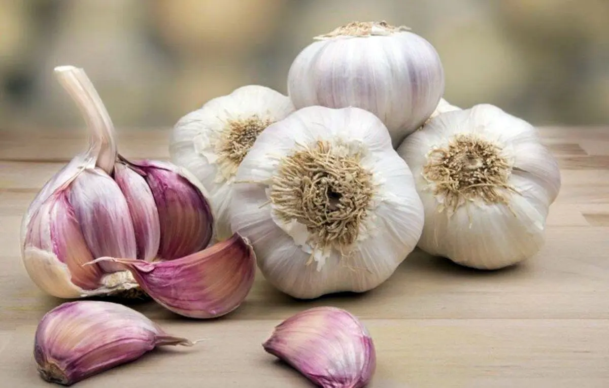 فواید پرشمار مصرف سیر برای مردان