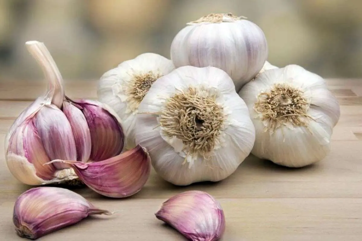 فواید پرشمار مصرف سیر برای مردان