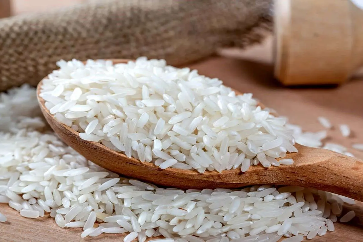 ادامه افزایش قیمت برنج ایرانی و خارجی