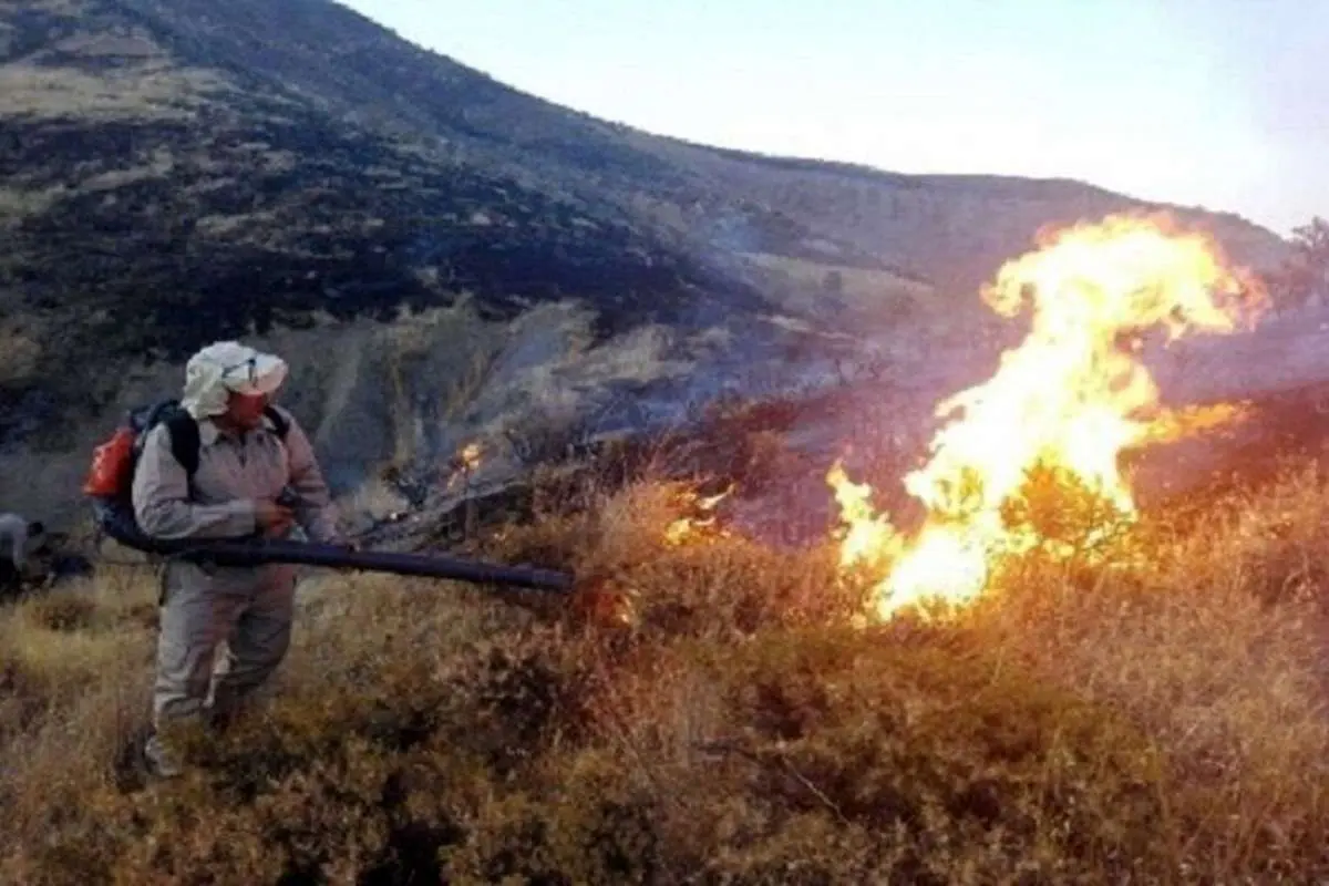 آتش سوزی تنگه هایقر فیروزآباد جان سه نفر را گرفت