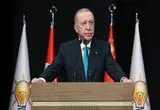 اردوغان: مردم منطقه راهی جز قدرت، اتحاد و همکاری ندارند