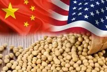 «سویا» چطور آمریکا و چین را پای میز مذاکره نشاند؟