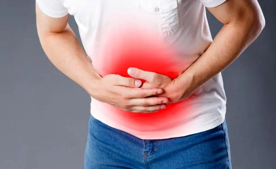 ۳ گیاه آرام‌بخشِ معده
