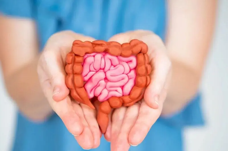 حفظ سلامت روده با ۴ ویتامین‌ کلیدی