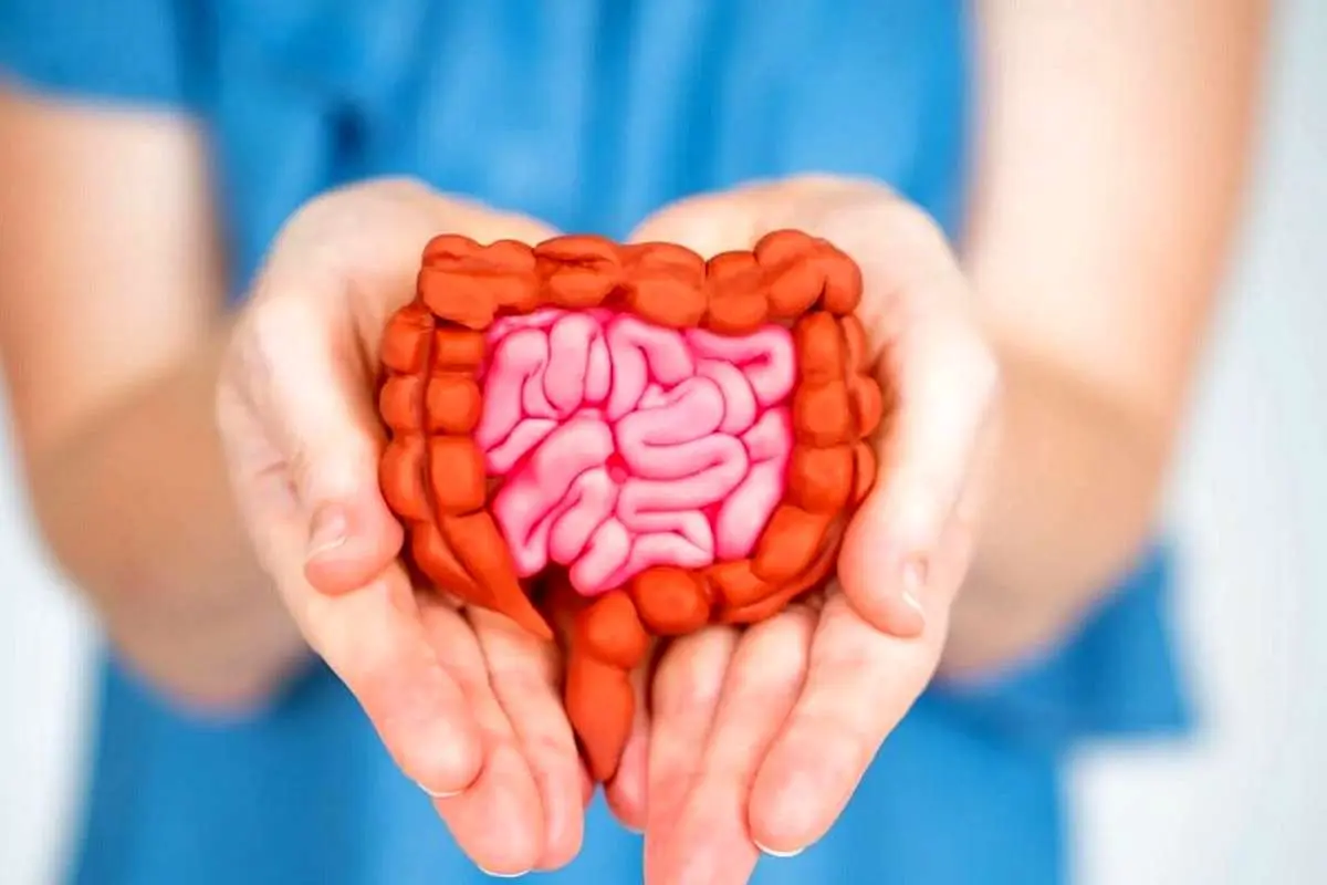 حفظ سلامت روده با ۴ ویتامین‌ کلیدی