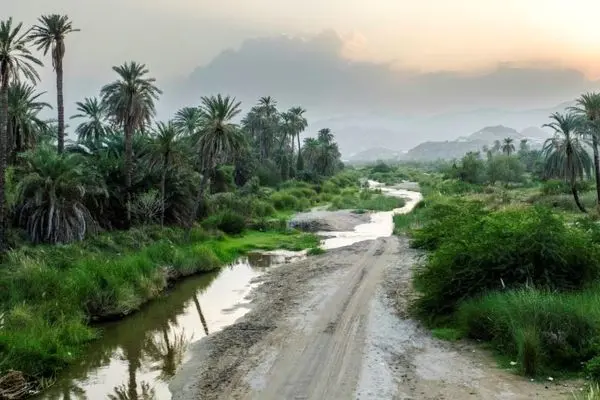 ببینید؛ طبیعت بکر «دره حلی» در جنوب عربستان 