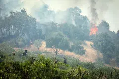 خبر خوب از گالیکش و کلاله؛ آتش جنگل هیرکانی در چند نقطه خاموش شد