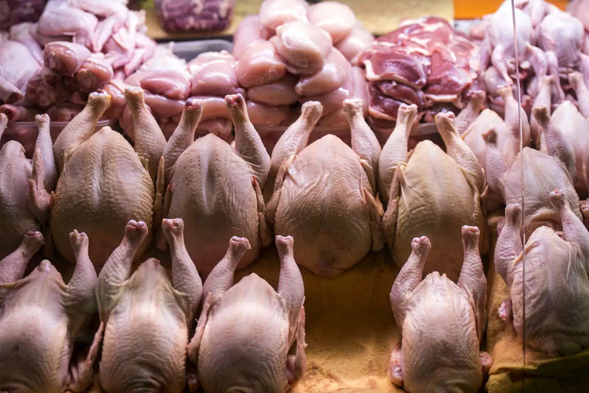 کاهش قیمت مرغ، تخم مرغ و گوشت در آذرماه