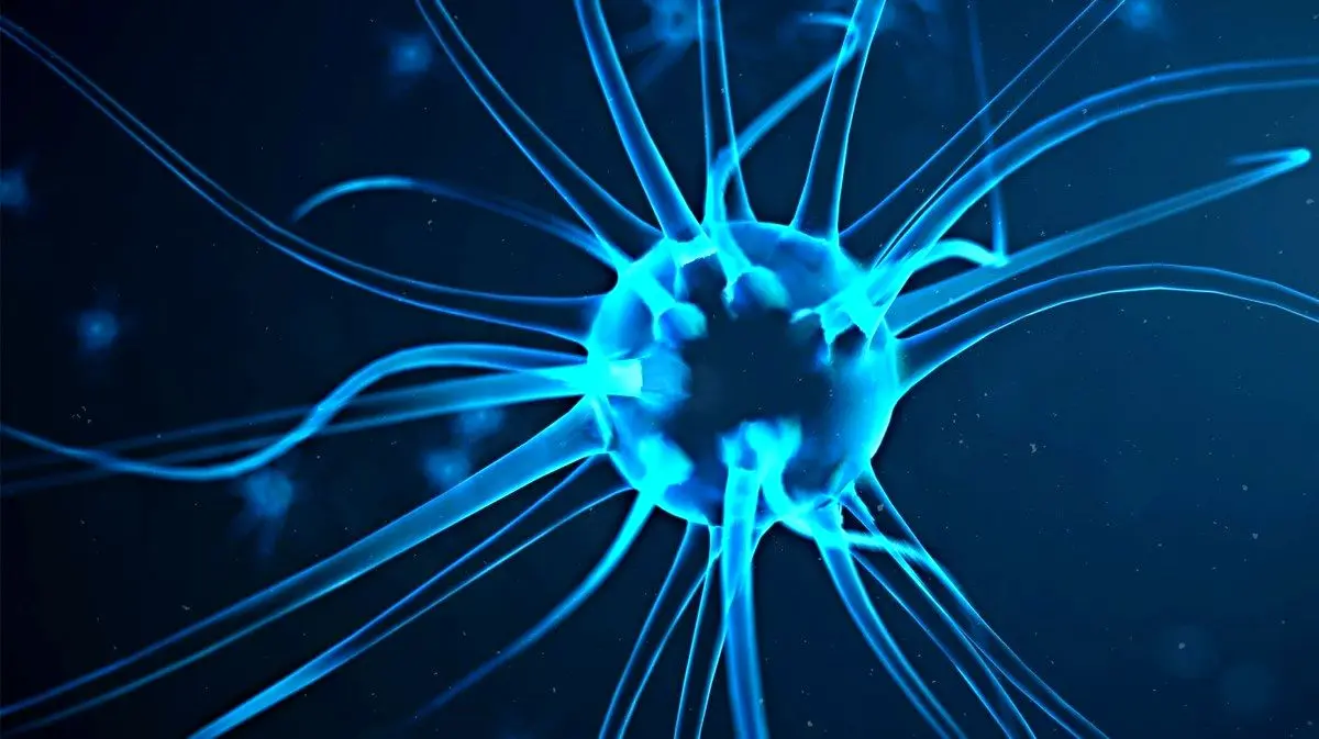 رشته ی مهندسی پزشکی چیست و چه گرایش‌هایی دارد؟