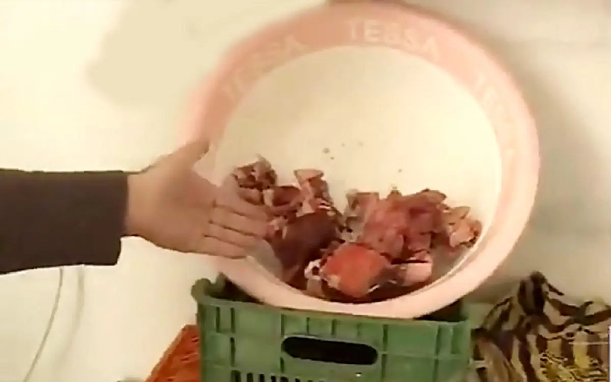 (ویدئو) ساخت و عرضه همبرگر برند با نان خشک و اسکلت مرغ