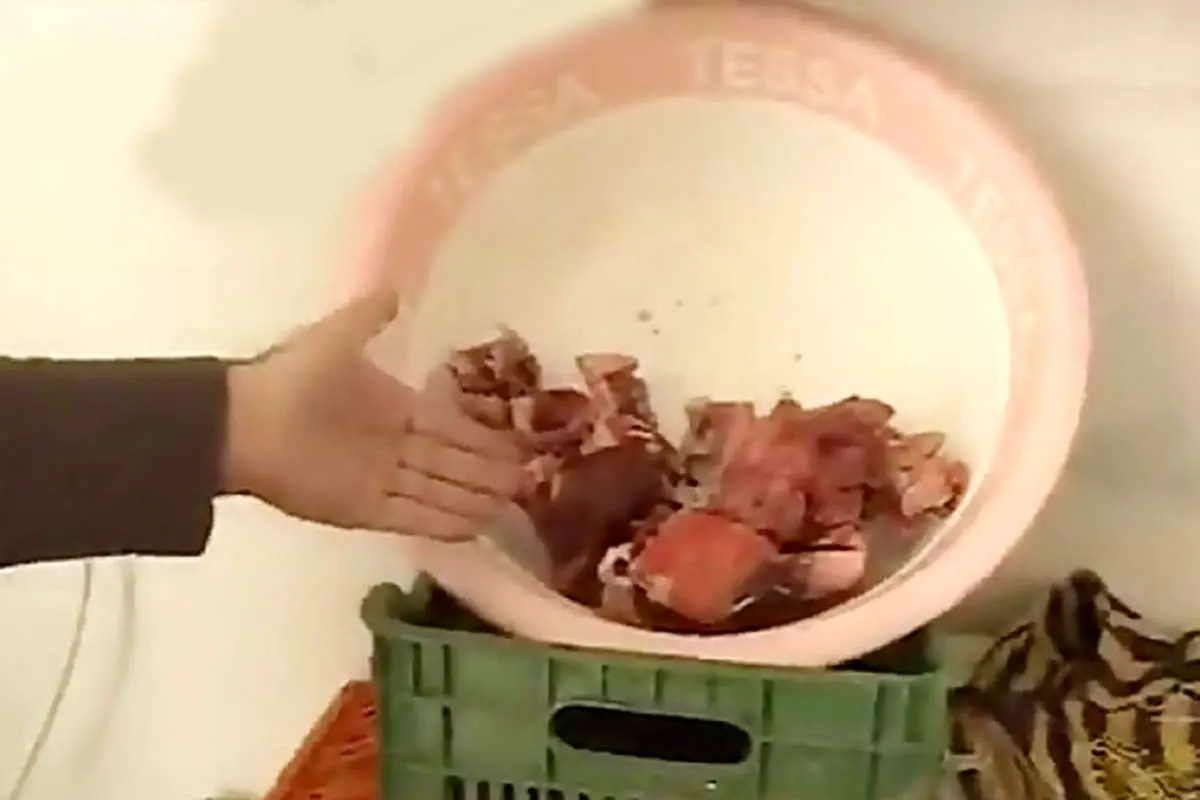 (ویدئو) ساخت و عرضه همبرگر برند با نان خشک و اسکلت مرغ