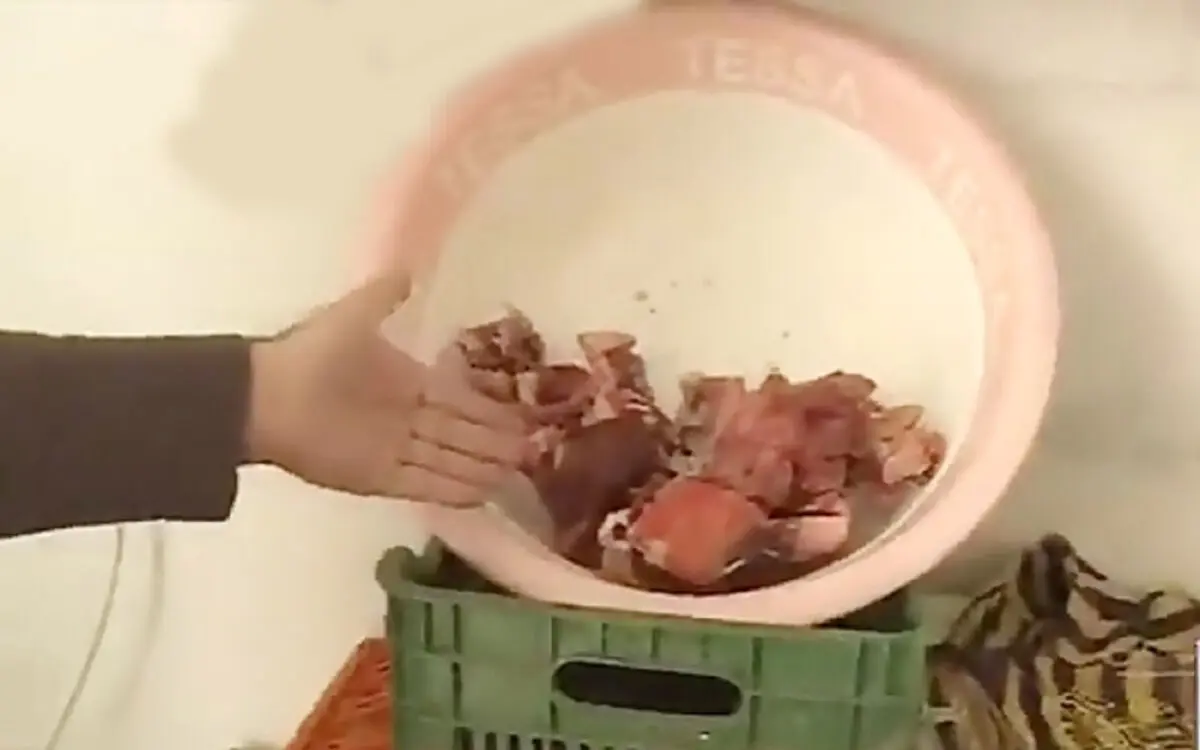 (ویدئو) ساخت و عرضه همبرگر برند با نان خشک و اسکلت مرغ