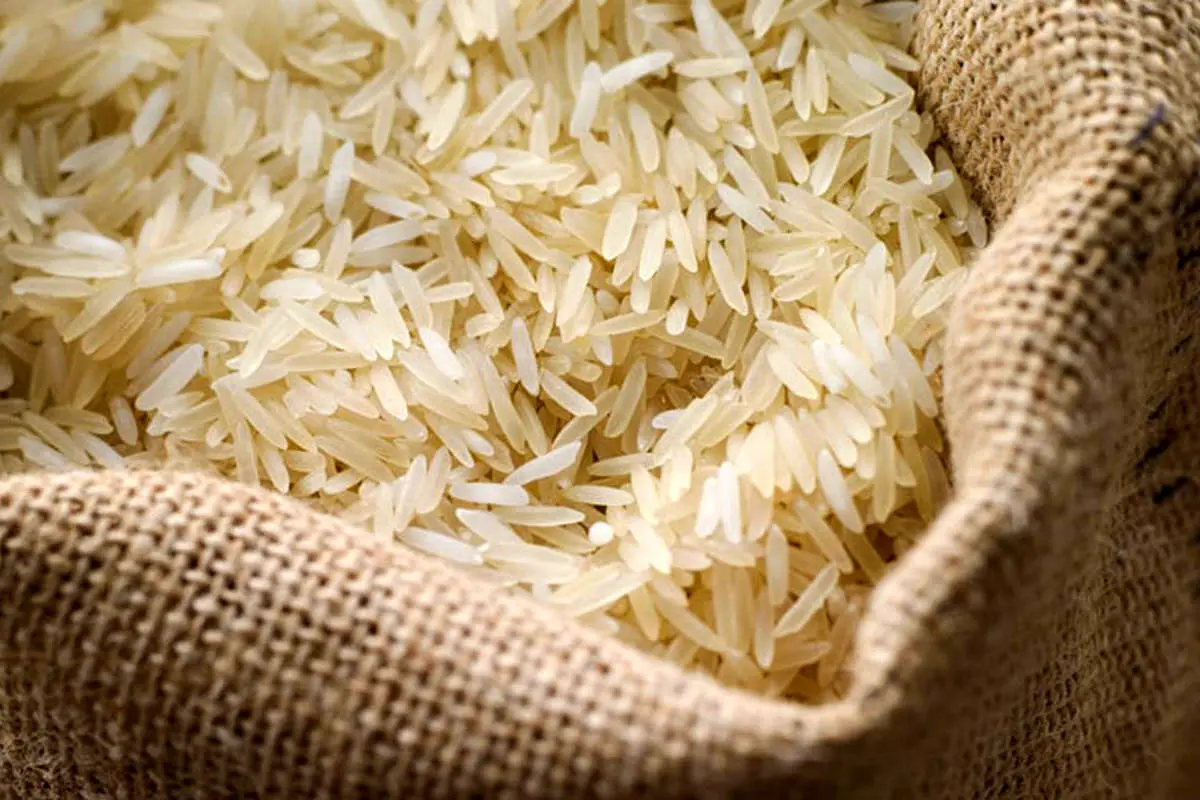 مالیات بر ارزش افزوده، برنج را گران میکند؟