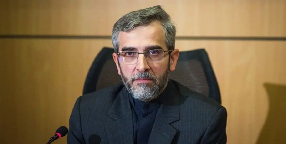 دیدار معاون وزیر خارجه کره جنوبی با باقری در وین