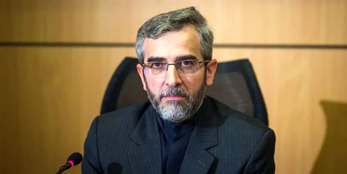 دیدار معاون وزیر خارجه کره جنوبی با باقری در وین