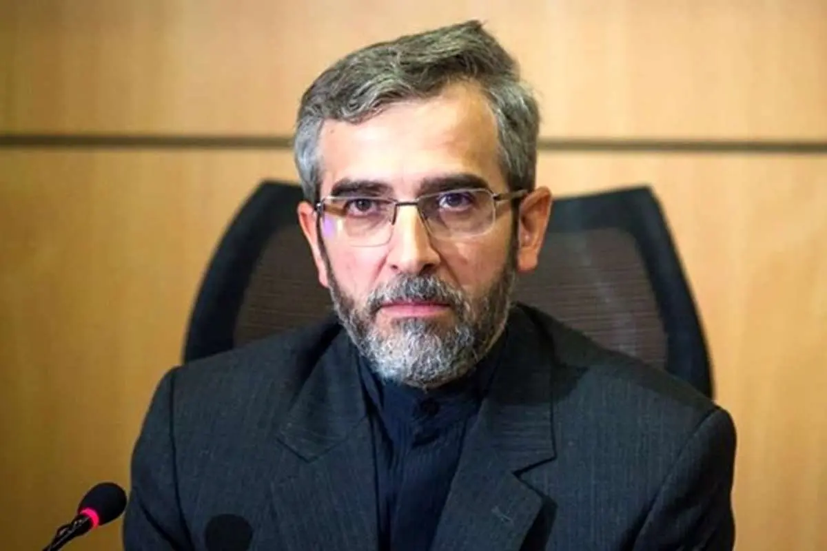 دیدار معاون وزیر خارجه کره جنوبی با باقری در وین