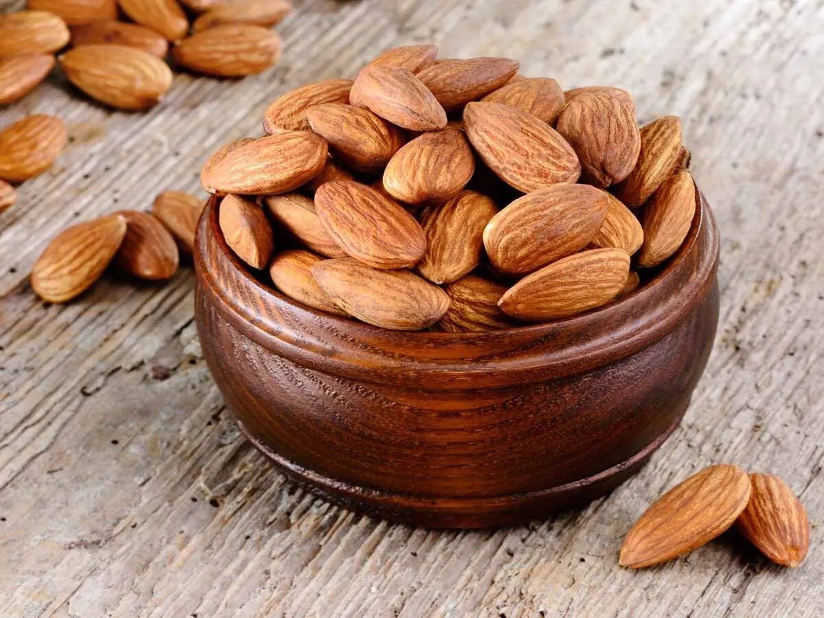 اگر لبنیات نمی‌خورید، این گزینه‌ها را جایگزین کنید