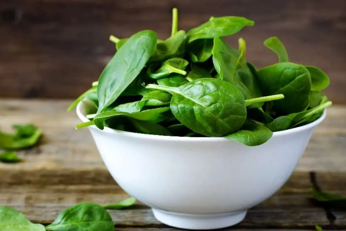 لبنیات نمیخورید، ۱۱ گزینه گیاهی را به رژیمتان اضافه کنید