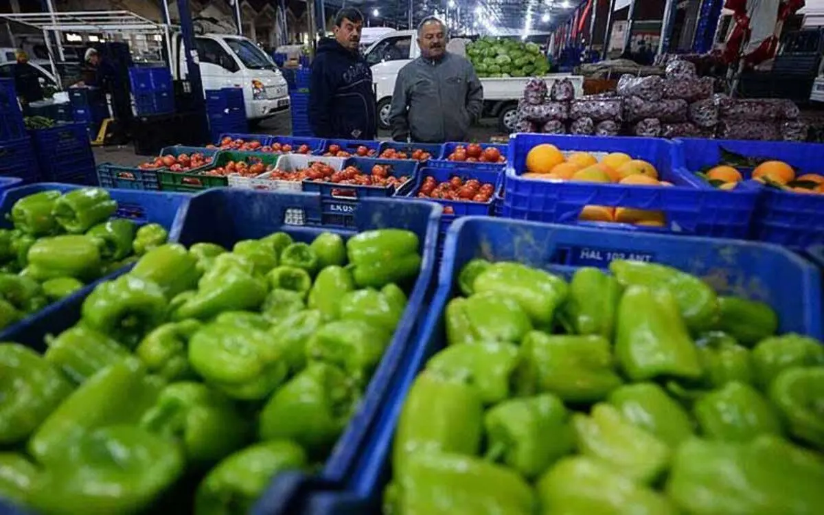 ۱۰ سوال مهم و اساسی درباره دیپورت شده‌های محصولات کشاورزی
