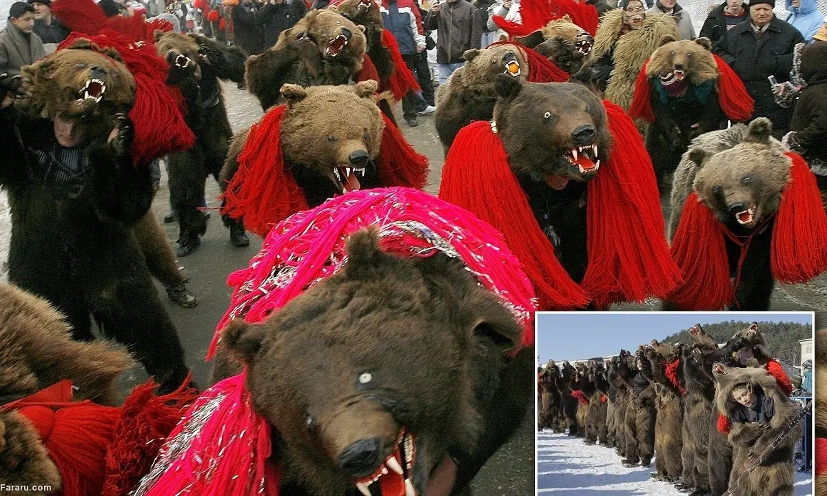 (ویدئو) رقص سنتی خرس‌ها؛ رویدادی به قدمت قرون وسطی