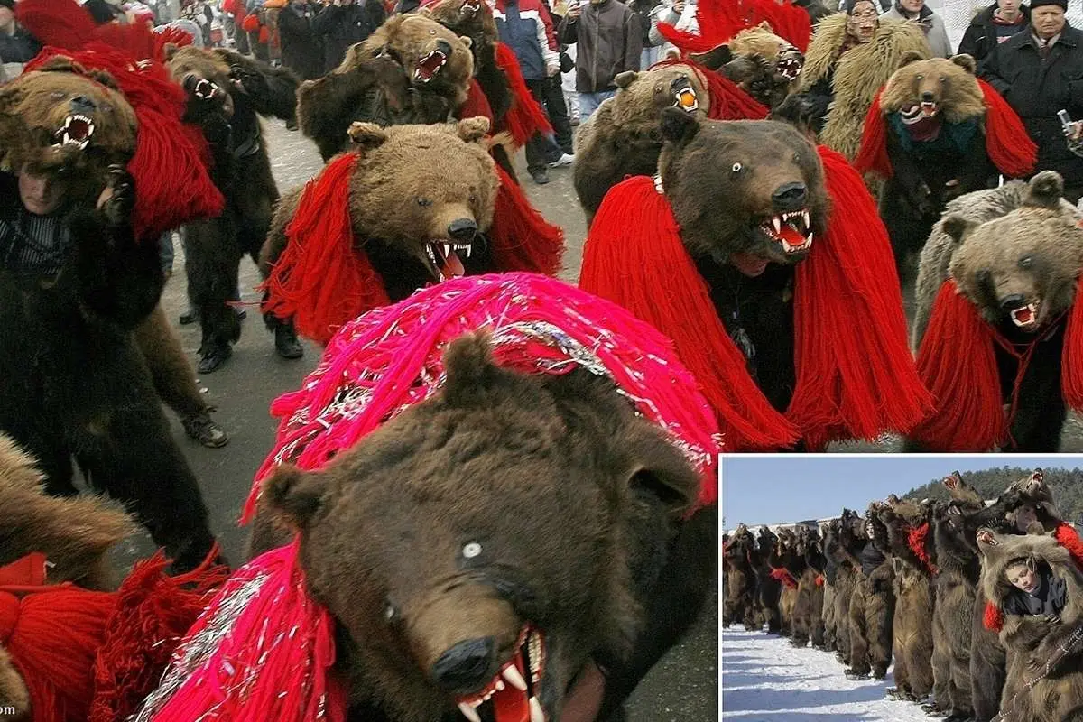 (ویدئو) رقص سنتی خرسها؛ رویدادی به قدمت قرون وسطی