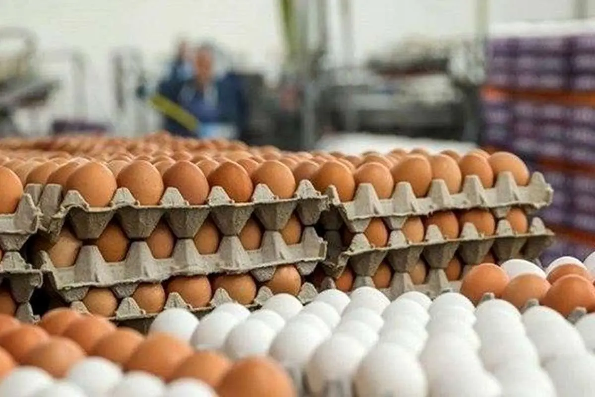 تخممرغ هم از سبد غذایی خانوارها حذف شده؟