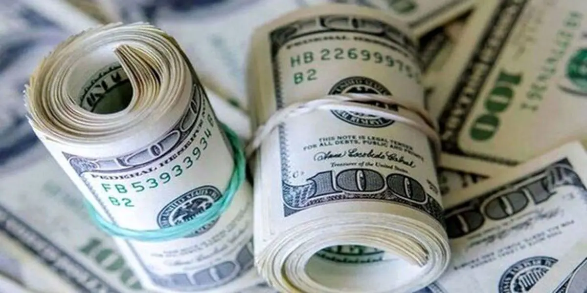 آیا مجلس موافق حذف ارز ترجیحی است؟