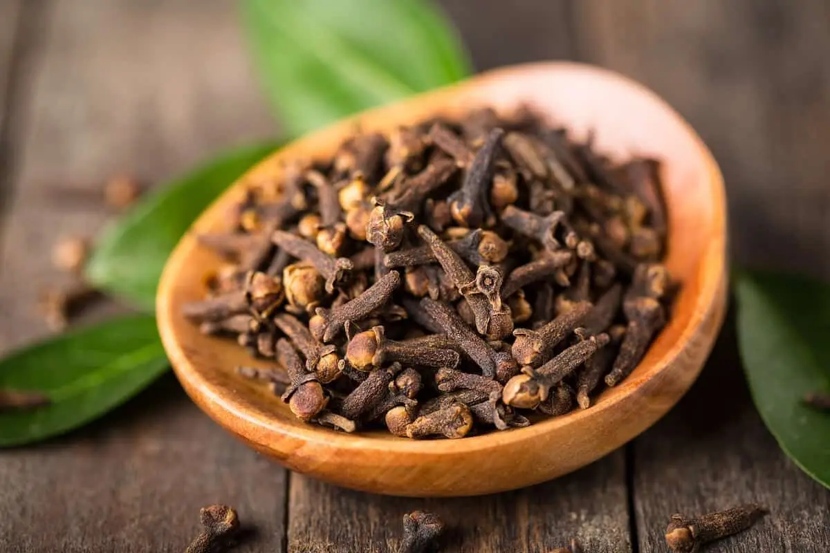 خواص شگفت‌انگیز گیاه دارویی میخک