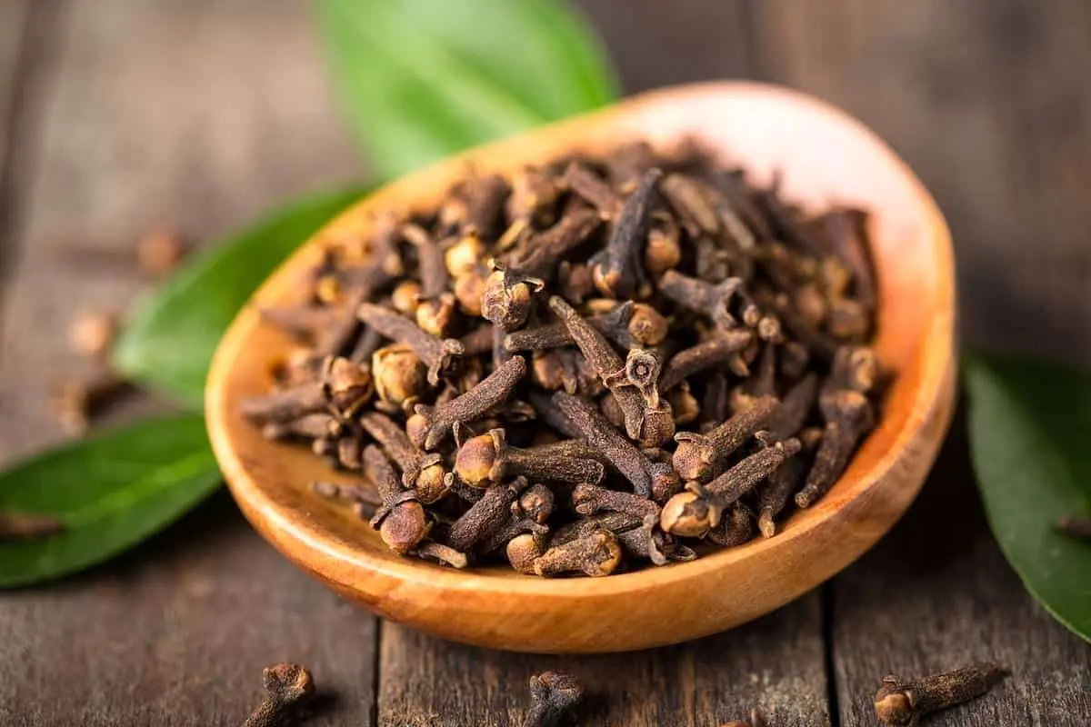 خواص شگفت‌انگیز گیاه دارویی میخک