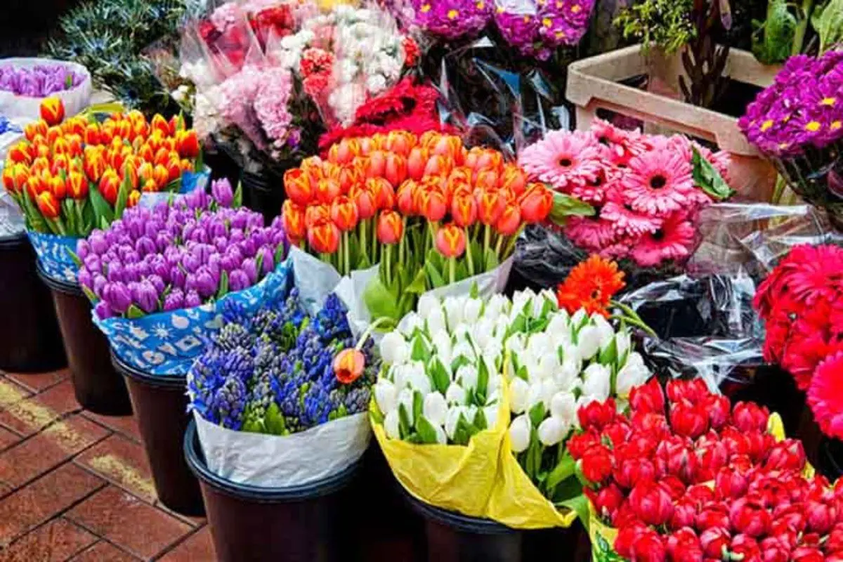 افزایش ۴۰۰ درصدی قیمت گل در آستانه روز مادر