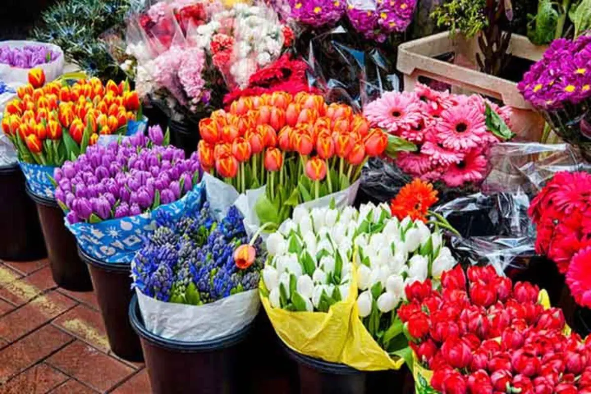 افزایش ۴۰۰ درصدی قیمت گل در آستانه روز مادر