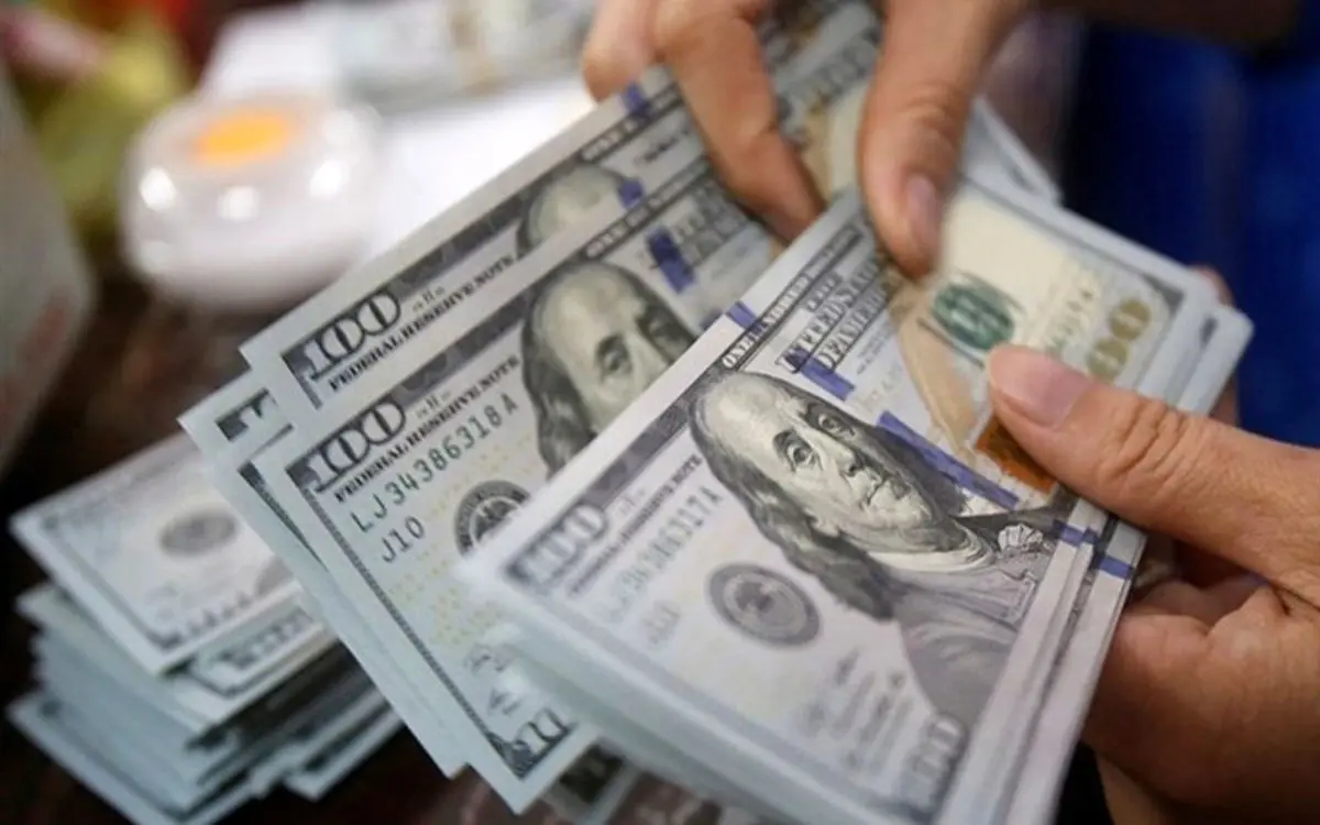 برنامه مکتوب دولت برای حذف ارز ترجیحی تقدیم مجلس شد