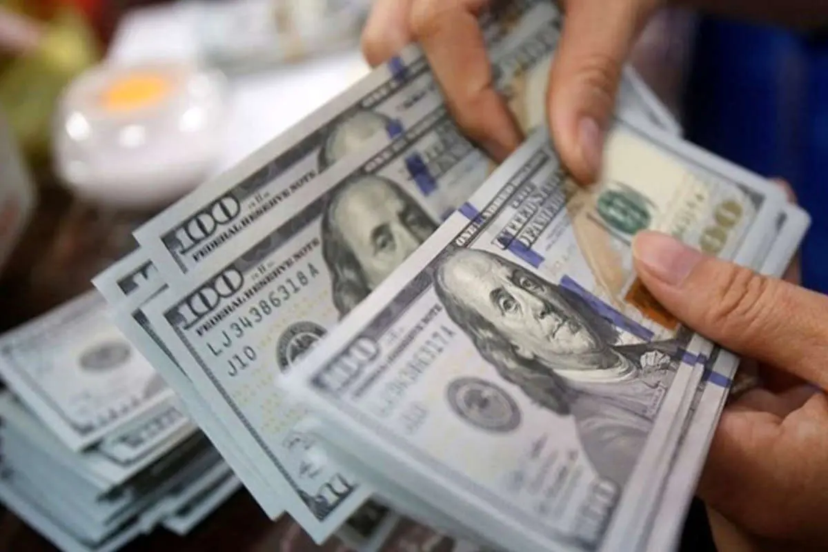 برنامه مکتوب دولت برای حذف ارز ترجیحی تقدیم مجلس شد