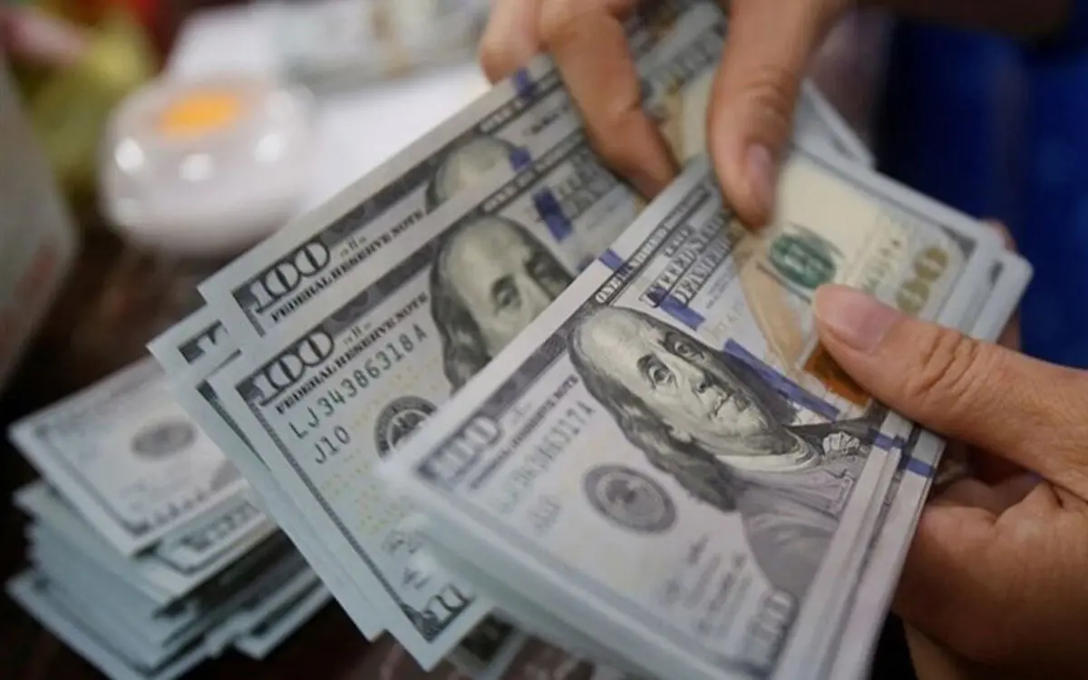 برنامه مکتوب دولت برای حذف ارز ترجیحی تقدیم مجلس شد