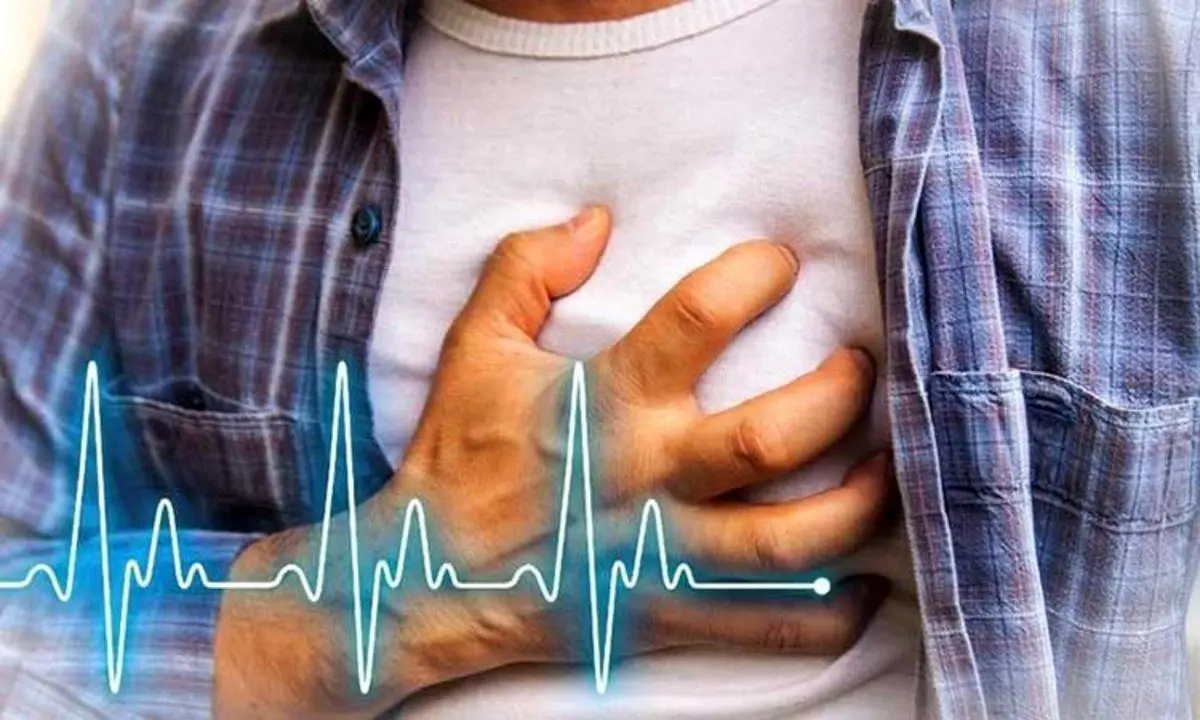 نقش قابل توجه یک مولکول در پیشگیری از سکته قلبی