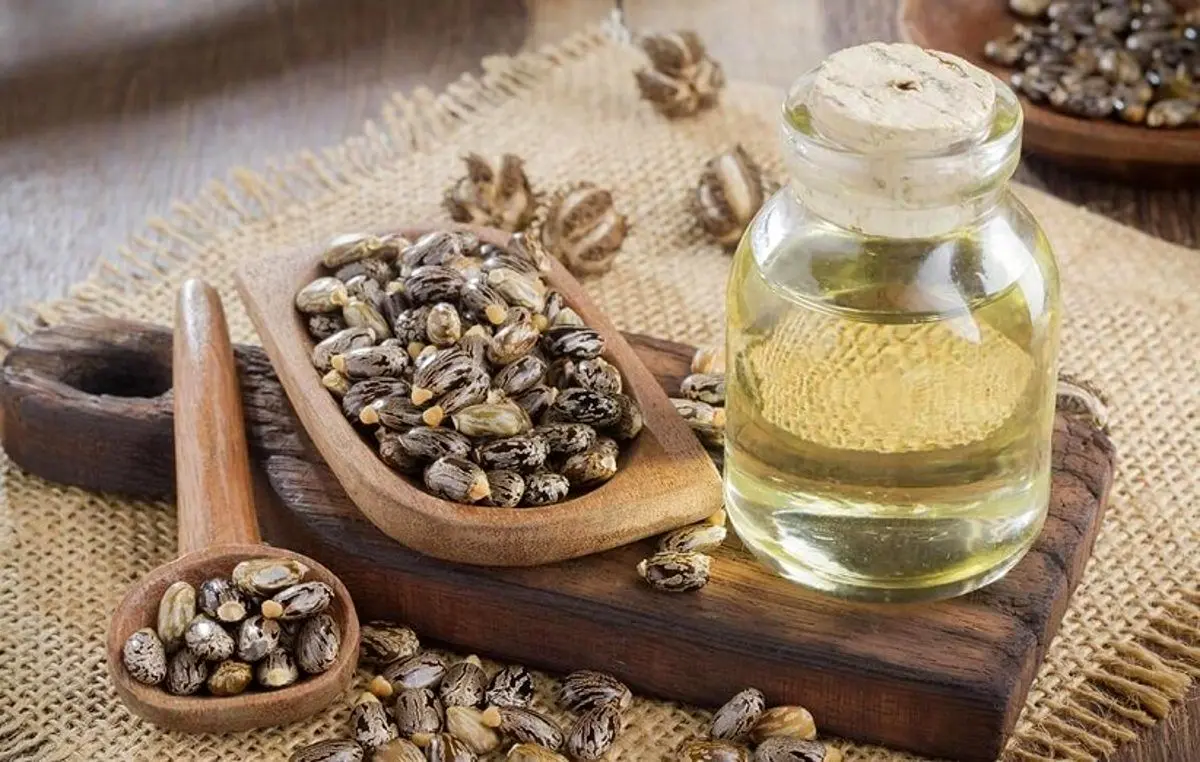 روغن کرچک؛ ۱۶ خاصیت درمانی که نمی‌دانستید