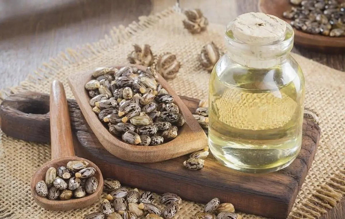 روغن کرچک؛ ۱۶ خاصیت درمانی که نمی‌دانستید
