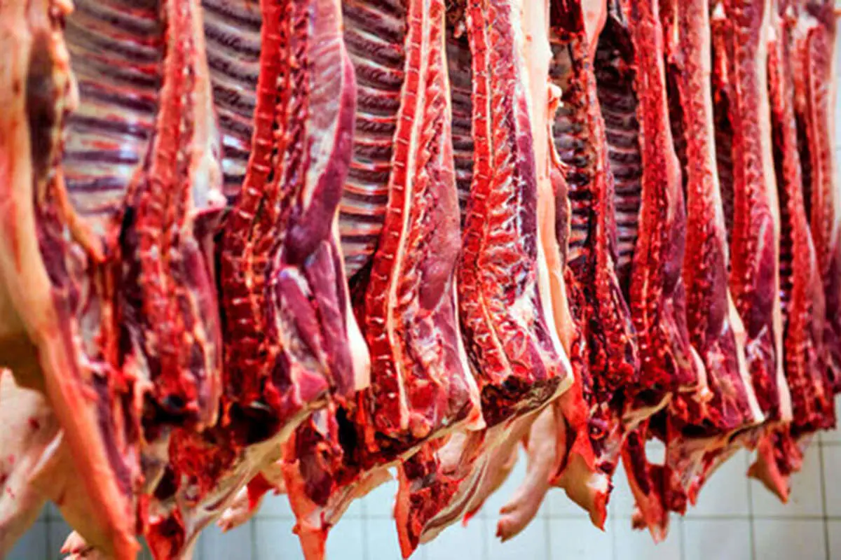 انواع گوشت در بازار چند قیمت خورد؟