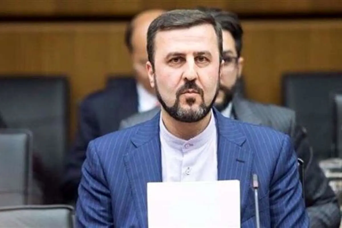 غریب آبادی: فرانسه حق ندارد قیافه حق به جانب به خود بگیرد